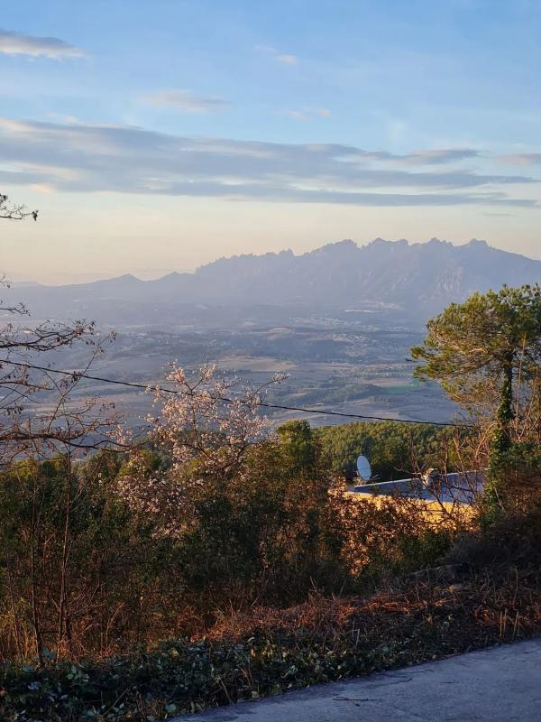 Terreno en venta en Gelida, Barcelona photo 3