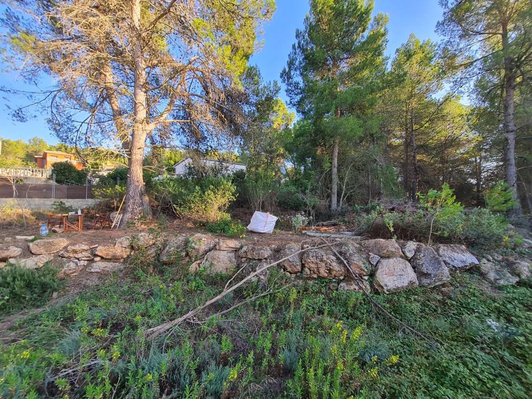 Terreno en venta en Gelida, Barcelona photo 4