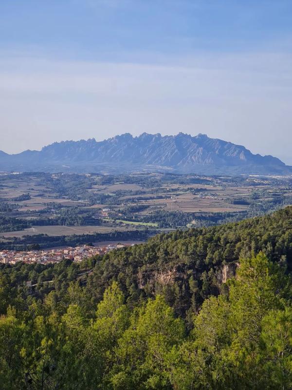Terreno en venta en Gelida, Barcelona photo 5
