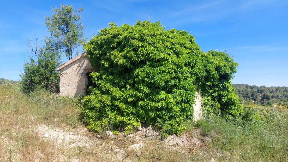 Terreno en venta en Sant Quintí de Mediona, Barcelona photo 3