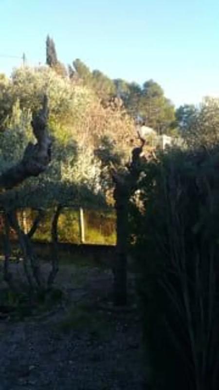 Terreno en venta en Gelida, Barcelona photo 4