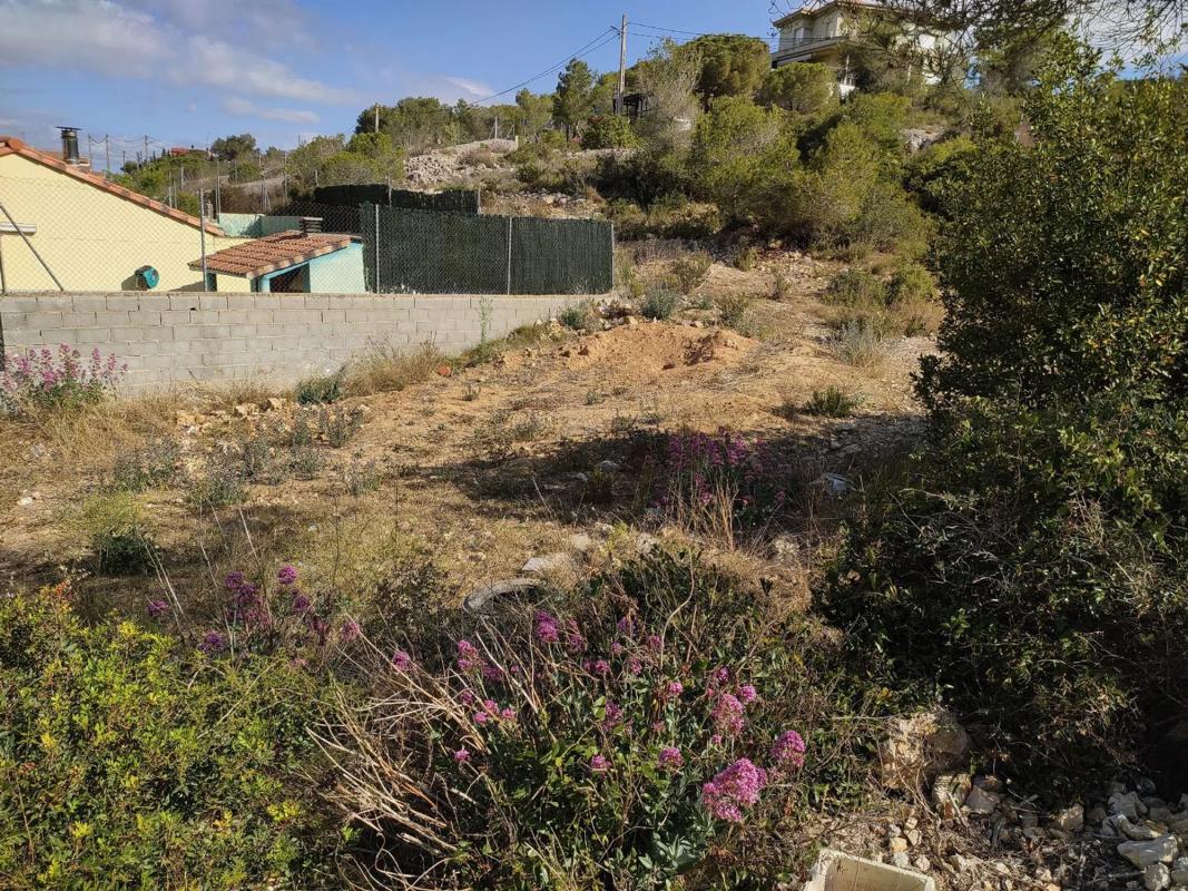 Terreno en venta en Olèrdola, Barcelona photo 2