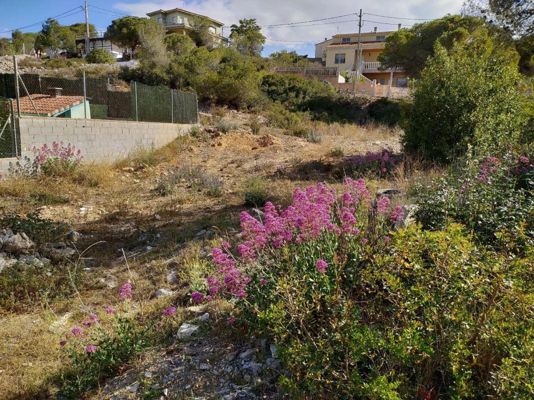Terreno en venta en Olèrdola, Barcelona photo 3