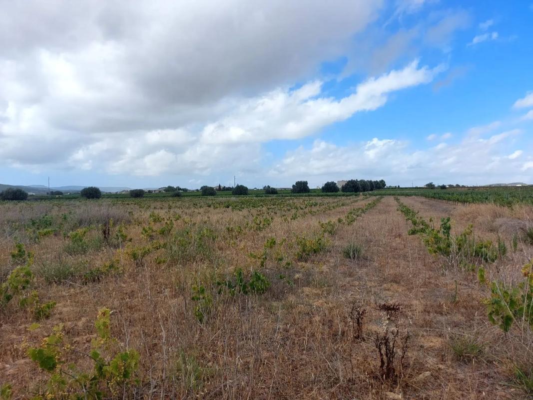 Terreno en venta en Castellví de la Marca, Barcelona photo 3