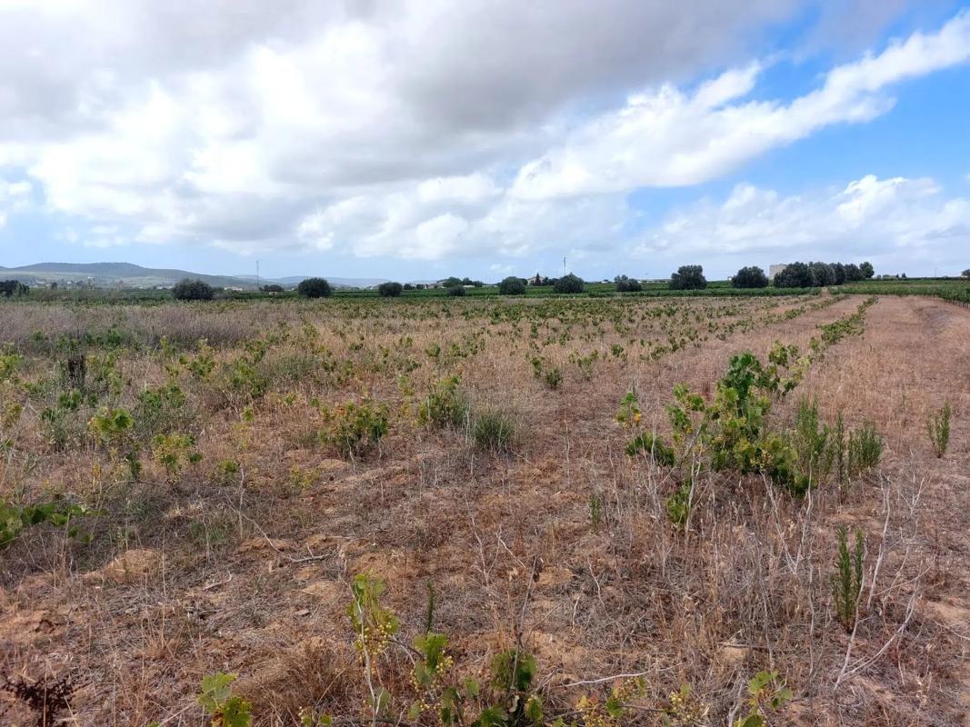 Terreno en venta en Castellví de la Marca, Barcelona photo 4