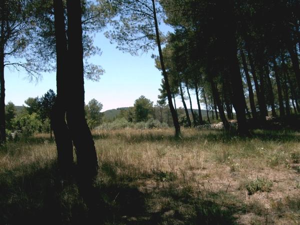 Terreno en Pontonets, 12 photo 1