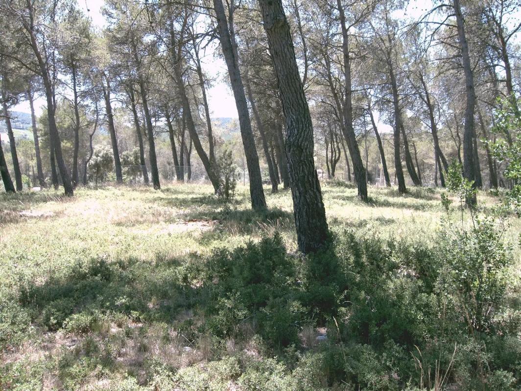 Участок земли на продажу в Понтонс, Барселона photo 2