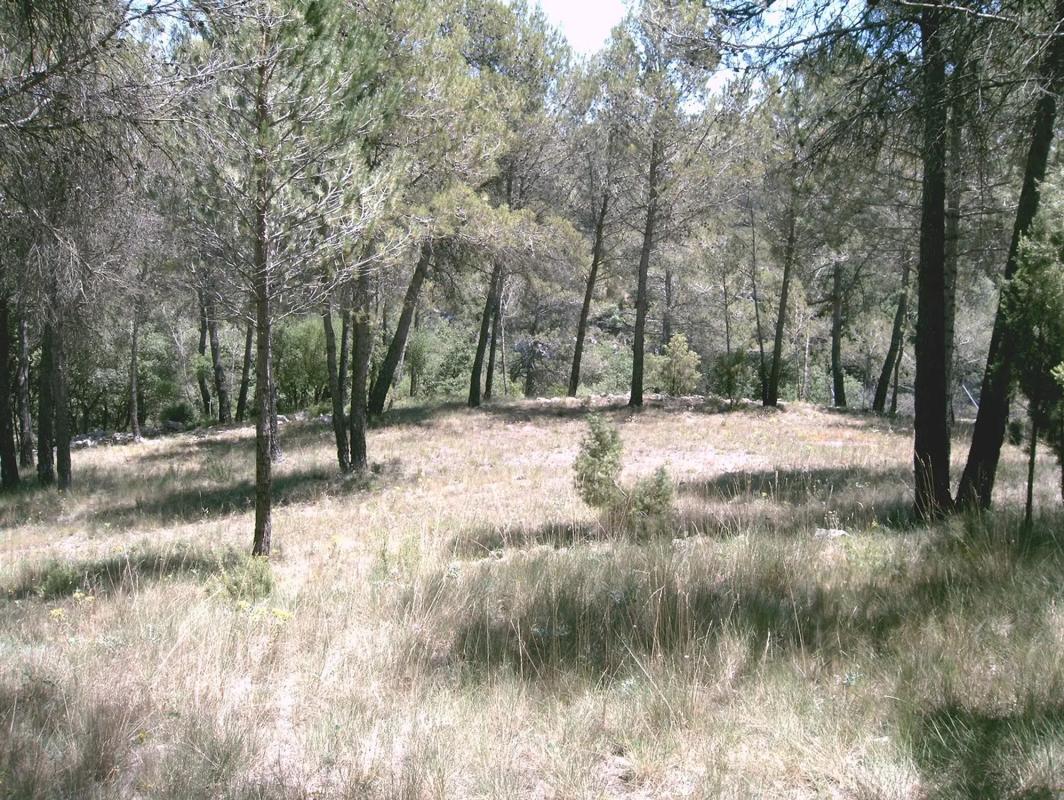 Участок земли на продажу в Понтонс, Барселона photo 5