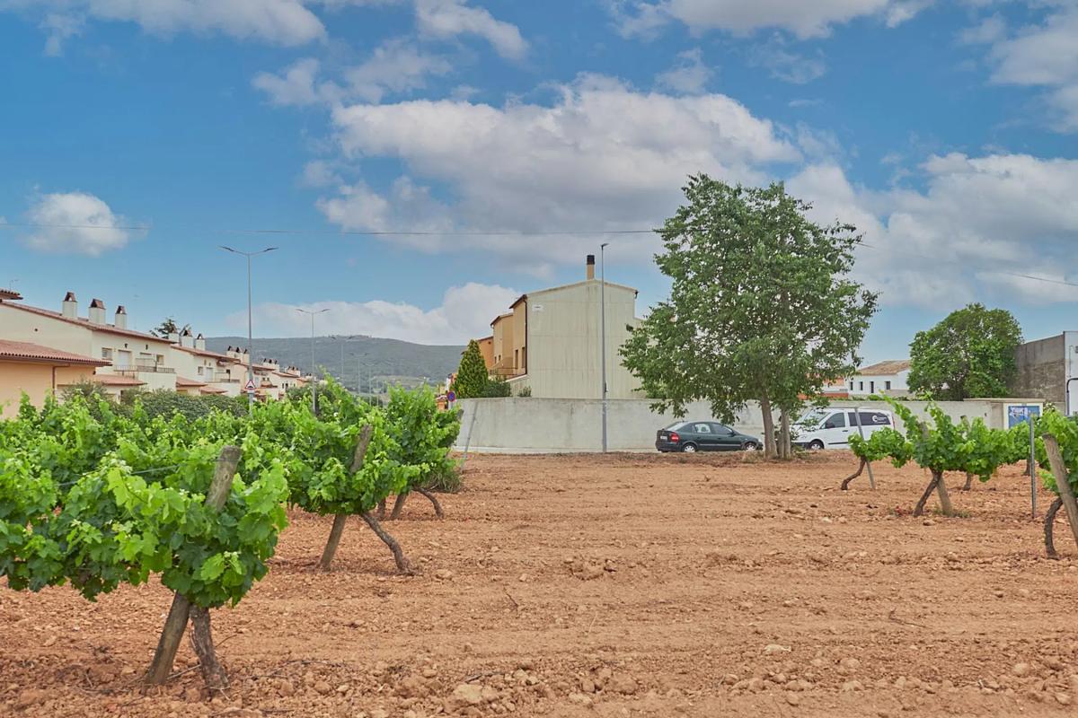 Terreno en venta en Olèrdola, Barcelona photo 2