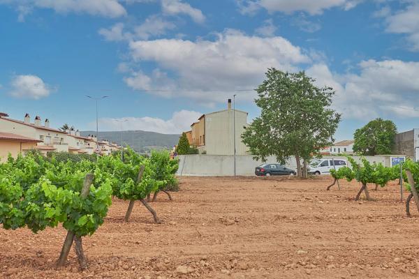 Terreno en calle Font del Cusco thumbnail 1