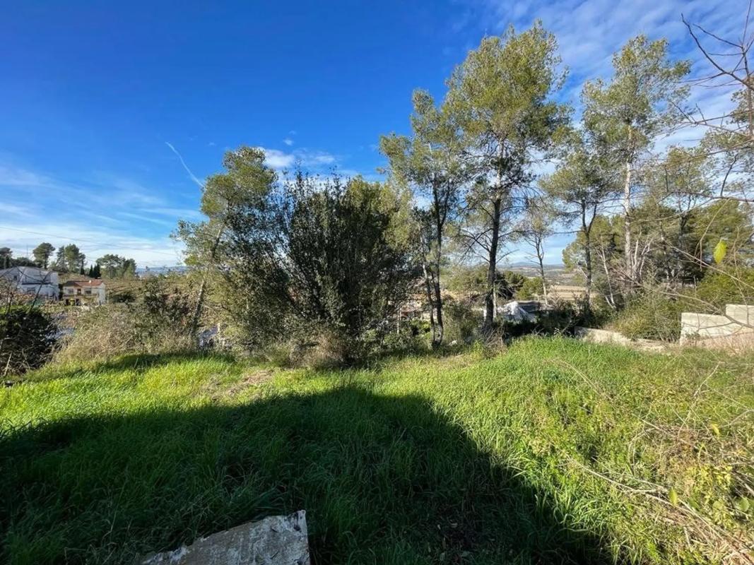 Land for sale in Subirats, Barcelona photo 2