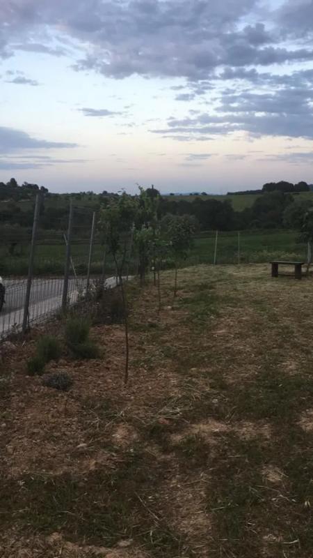 Terreno en venta en Sant Llorenç d'Hortons, Barcelona photo 2