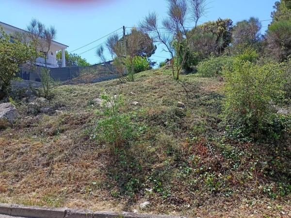 Terreno en anoia photo 1