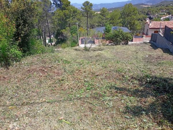 Terreno en anoia photo 3