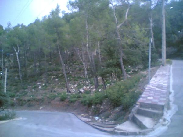 Terreno en calle catalonia, 640 thumbnail 1