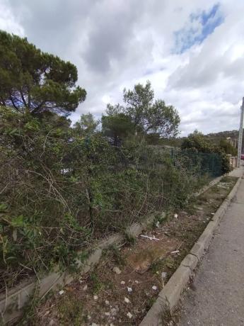 Terreno en font del bosc photo 1