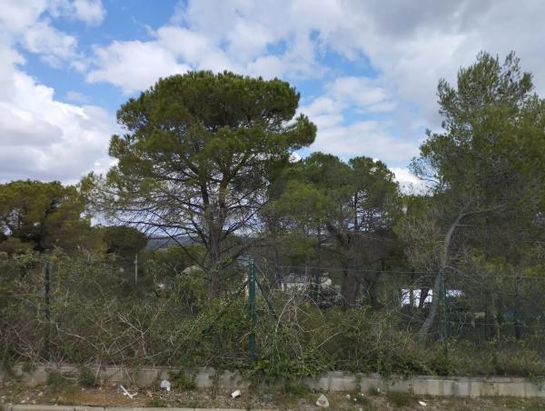 Terreno en font del bosc photo 2