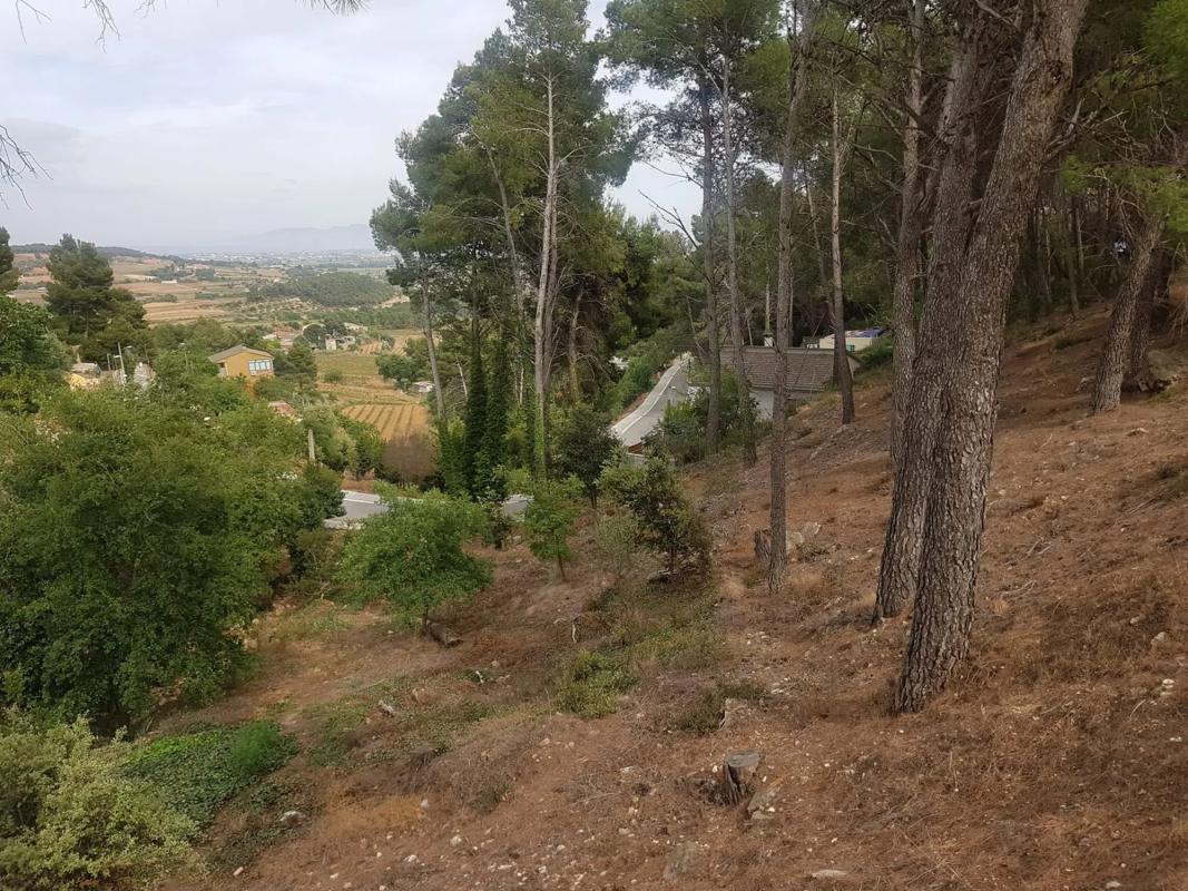 Terreno en venta en Torrelles de Foix, Barcelona photo 4