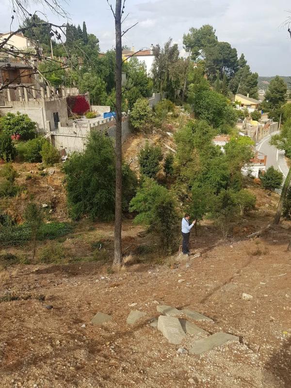 Terreno en venta en Torrelles de Foix, Barcelona photo 5