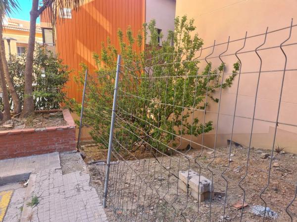 Terreno en Ramon palleja, 1 thumbnail 1