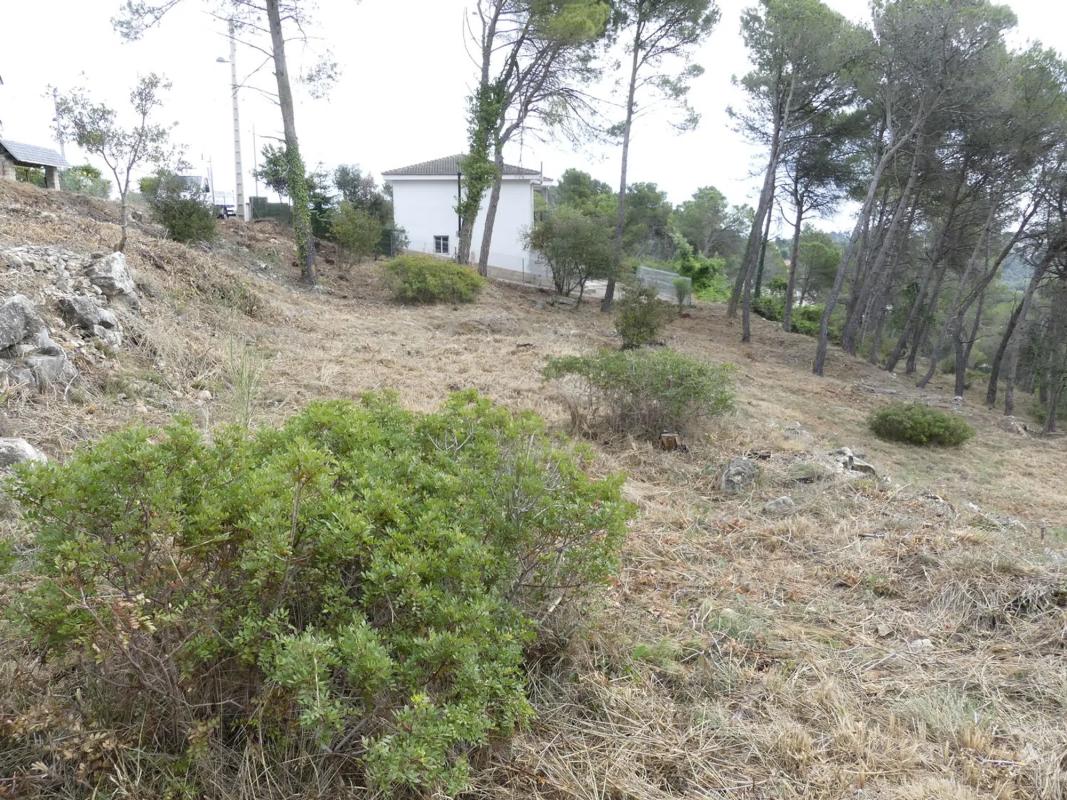 Terreno en venta en Mediona, Barcelona photo 5