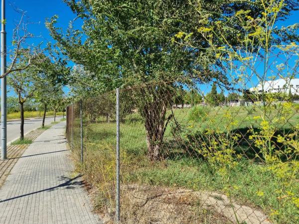 Terreno en avenida del Montmell, 49 photo 4