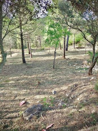 Terreno en calle Montserrat, 2106 -2107 photo 2
