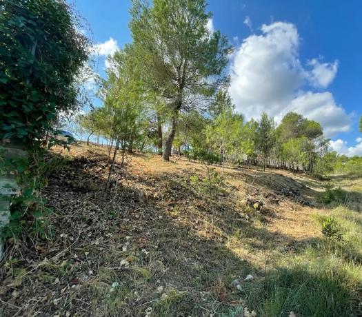 Terreno en calle Montserrat, 2106 -2107 photo 3