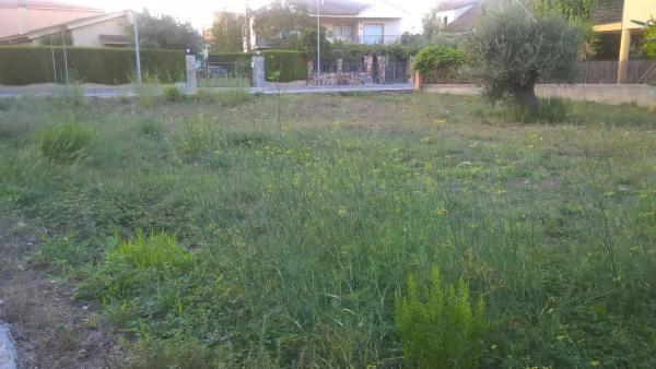 Terreno en Sant Martí Sarroca photo 1