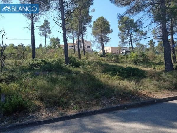 Terreno en Mediona photo 1