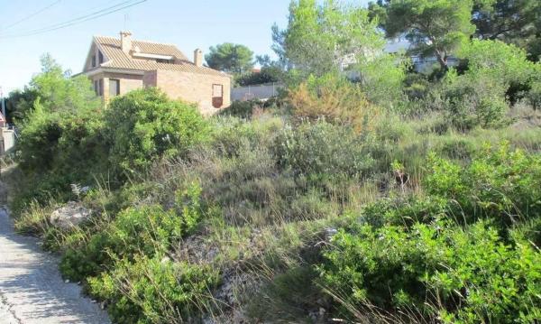 Terreno en calle de la Figuera, 50 photo 1