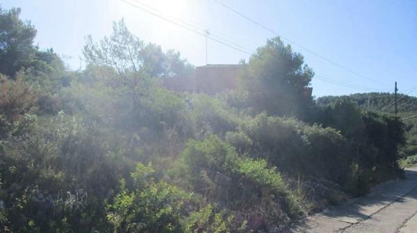 Terreno en calle de la Figuera, 50 thumbnail 1