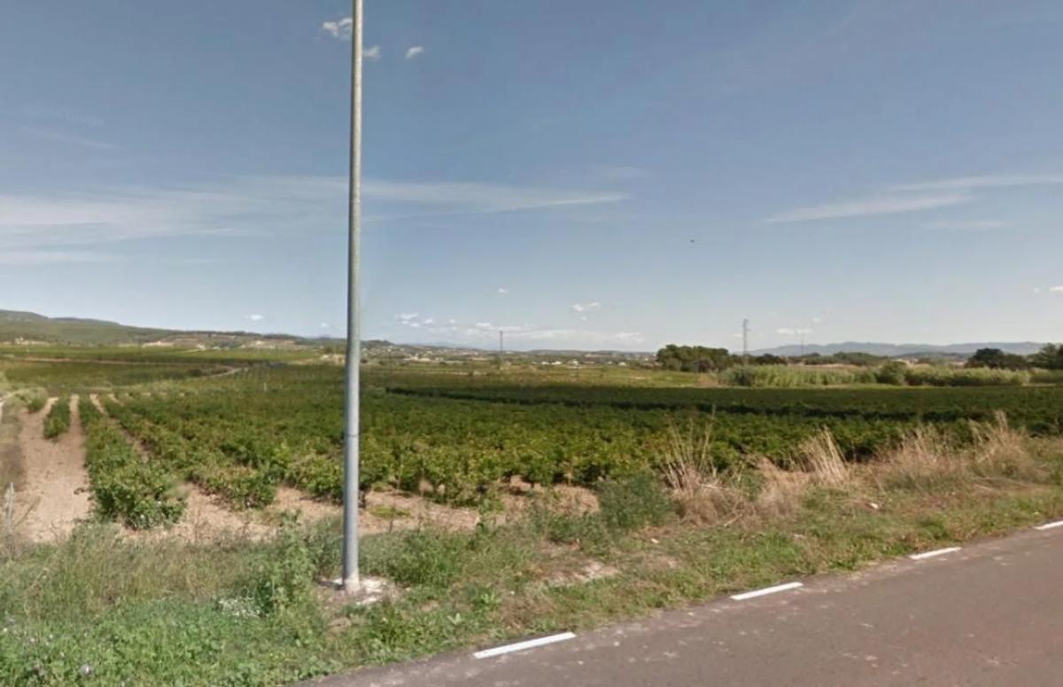 Terreno en venta en Torrelles de Foix, Barcelona photo 3