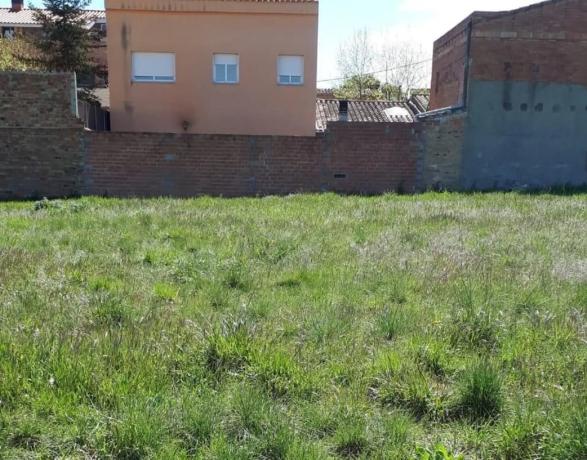 Terreno en camino de Cal Nadal photo 3