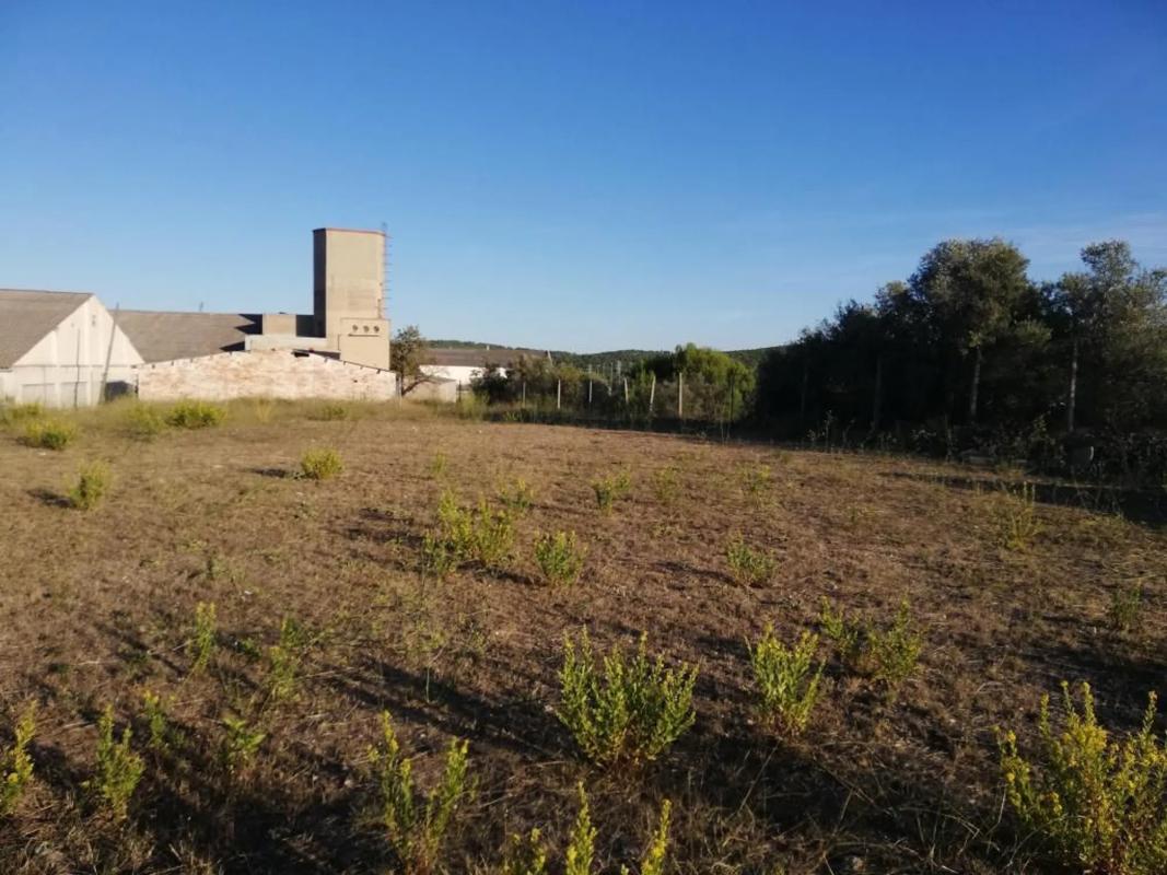 Terreno en venta en Torrelles de Foix, Barcelona photo 4
