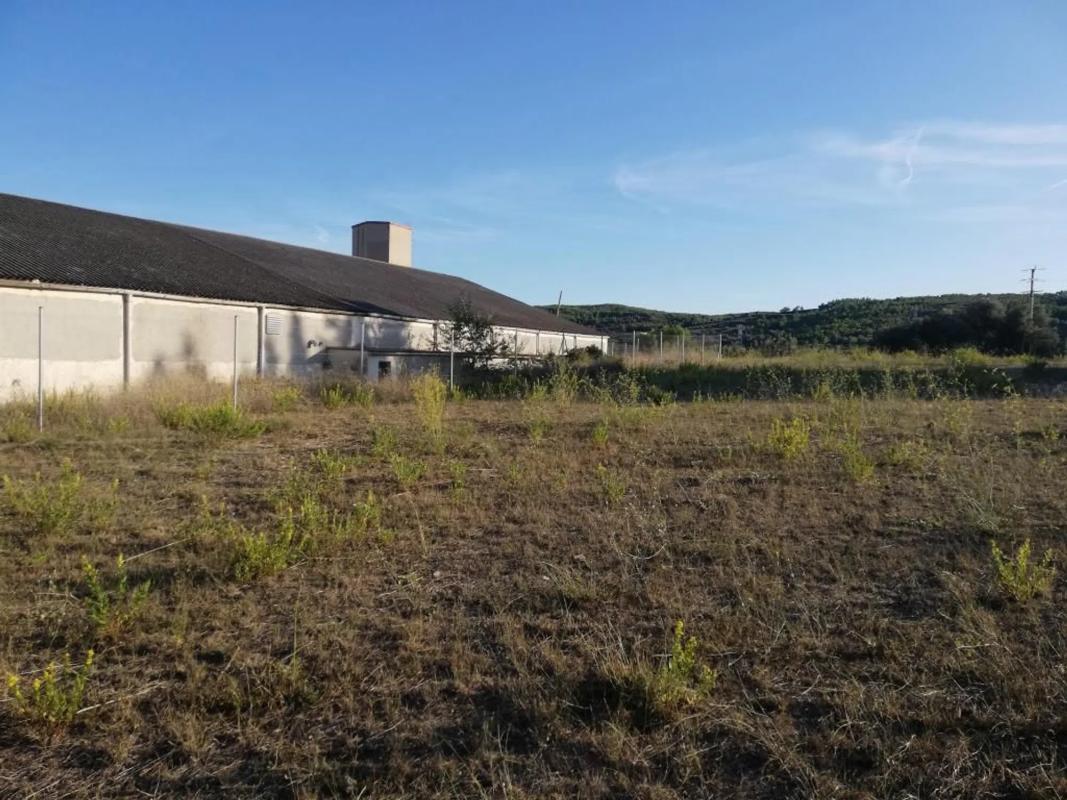 Terreno en venta en Torrelles de Foix, Barcelona photo 5