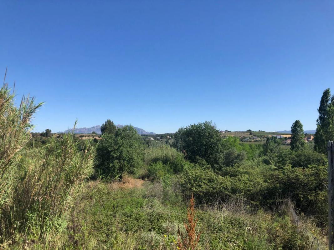 Terreno en venta en Gelida, Barcelona photo 5