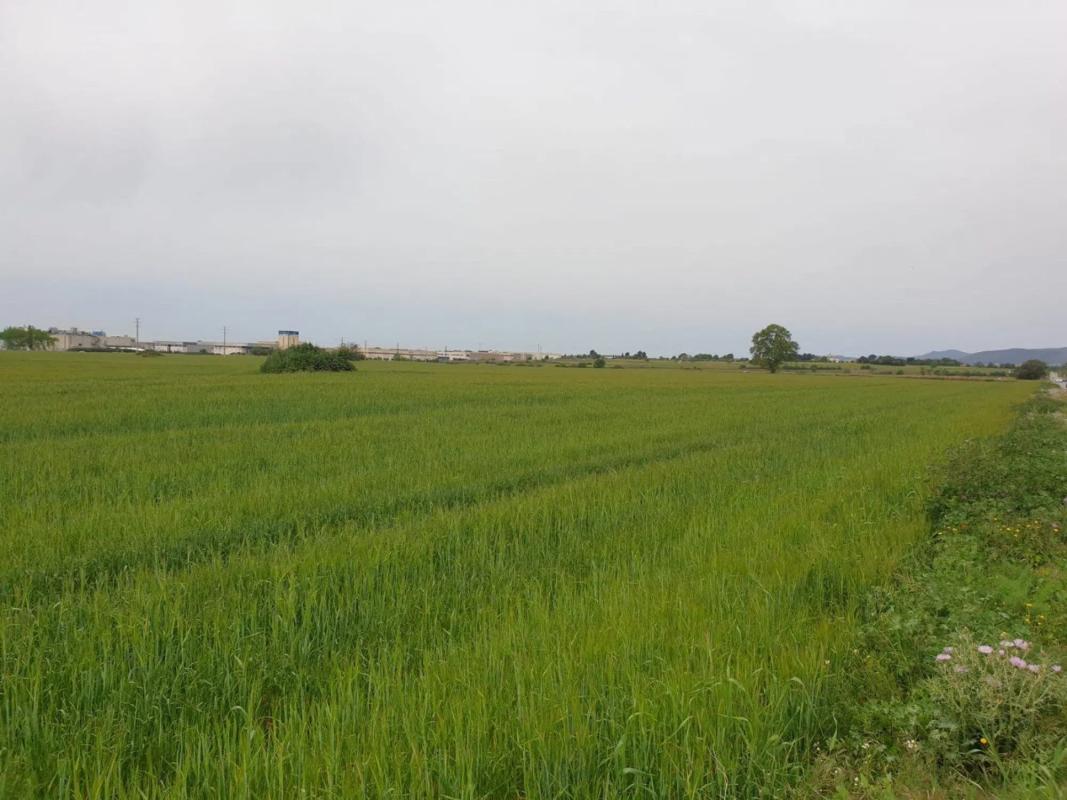 Terreno en venta en Vilafranca del Penedès, Barcelona photo 2