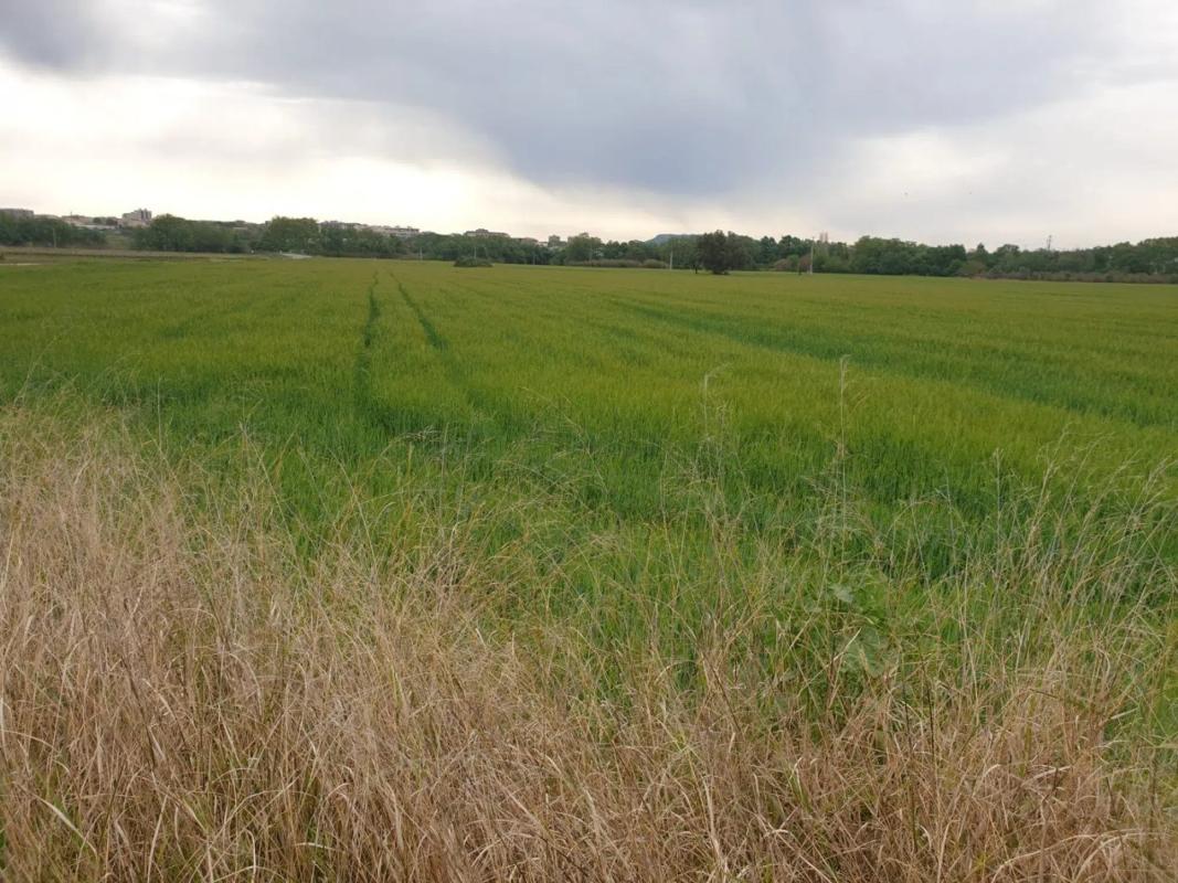 Terreno en venta en Vilafranca del Penedès, Barcelona photo 3