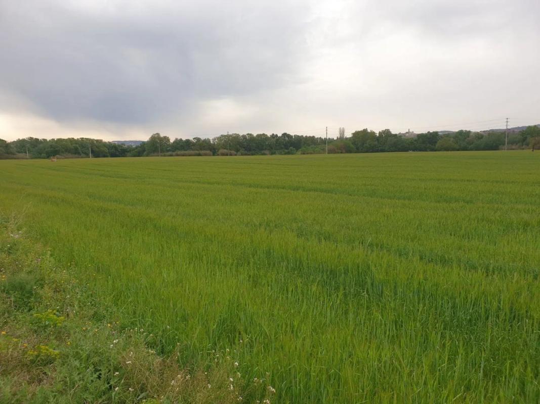 Terreno en venta en Vilafranca del Penedès, Barcelona photo 4