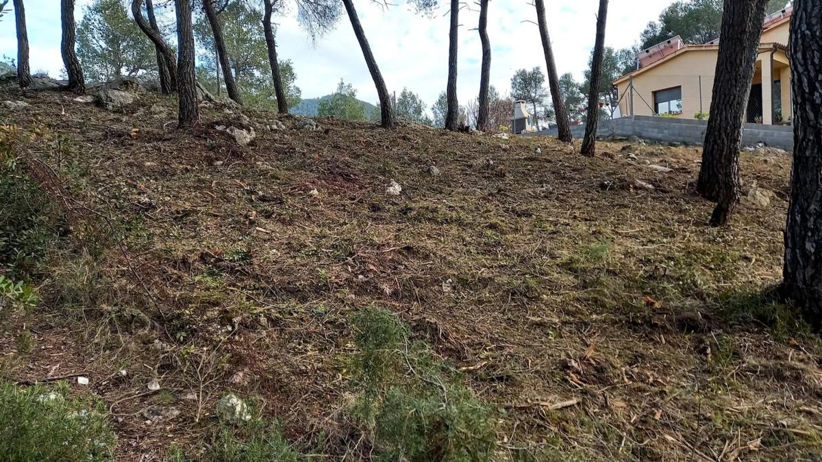 Terreno en venta en Gelida, Barcelona photo 5
