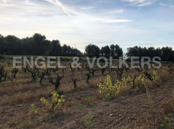 Terreno en Avinyonet del Penedès photo 1