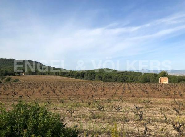 Terreno en Avinyonet del Penedès photo 3
