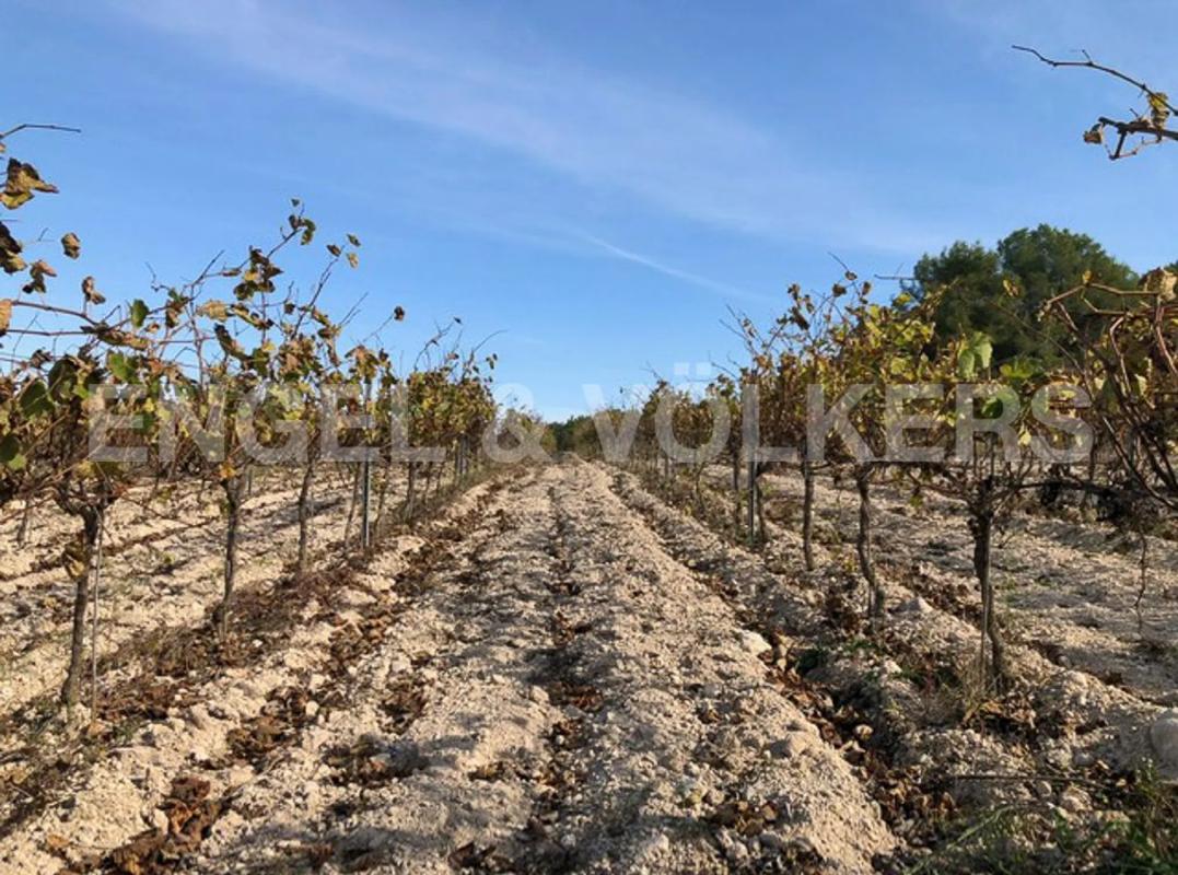 Terreno en venta en Avinyonet del Penedès, Barcelona photo 4