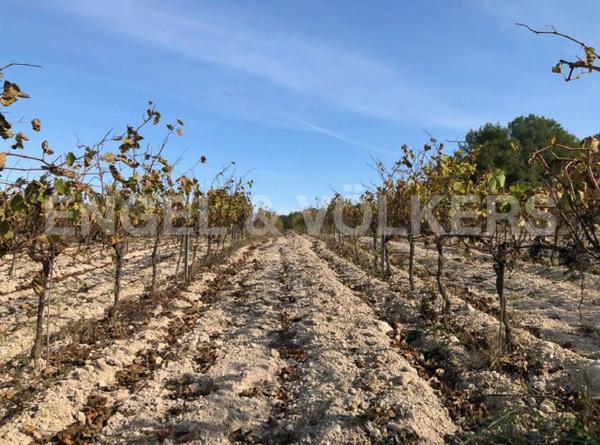 Terreno en Avinyonet del Penedès photo 4