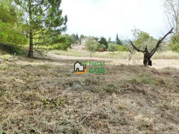 Terreno en calle Major photo 1