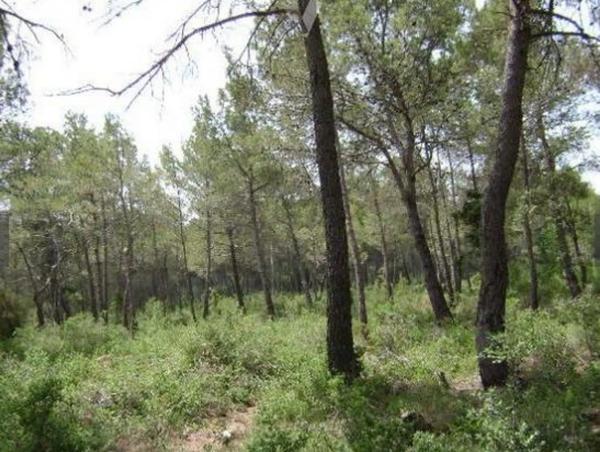 Terreno en circunvalación 1836 s/n photo 2
