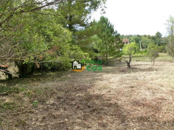 Terreno en calle Major photo 4