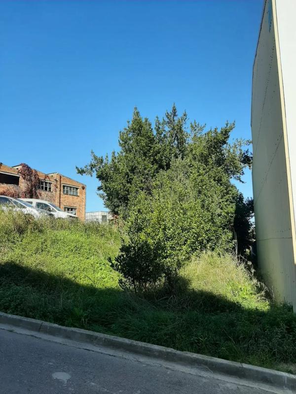 Land for sale in Saint Lawrence of Hortons, Barcelona photo 4