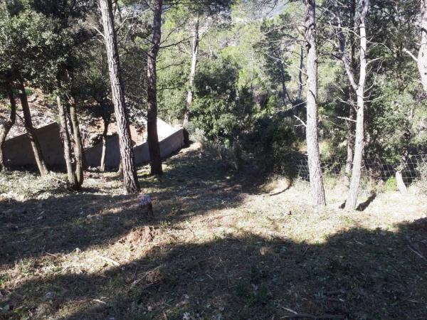 Terreno en Torrelles de Foix photo 1